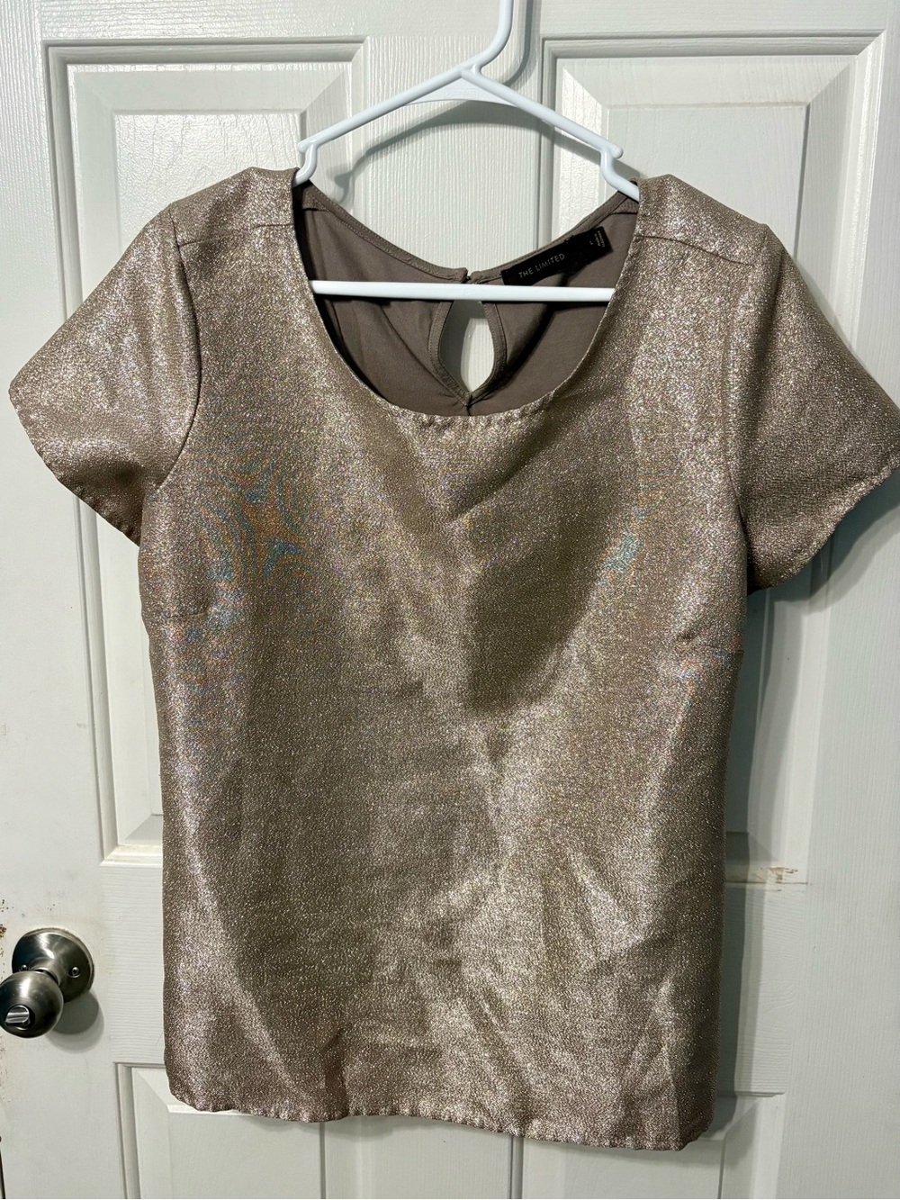 The Limited Shimmery Taupe Metallic Short Sleeve Blouse